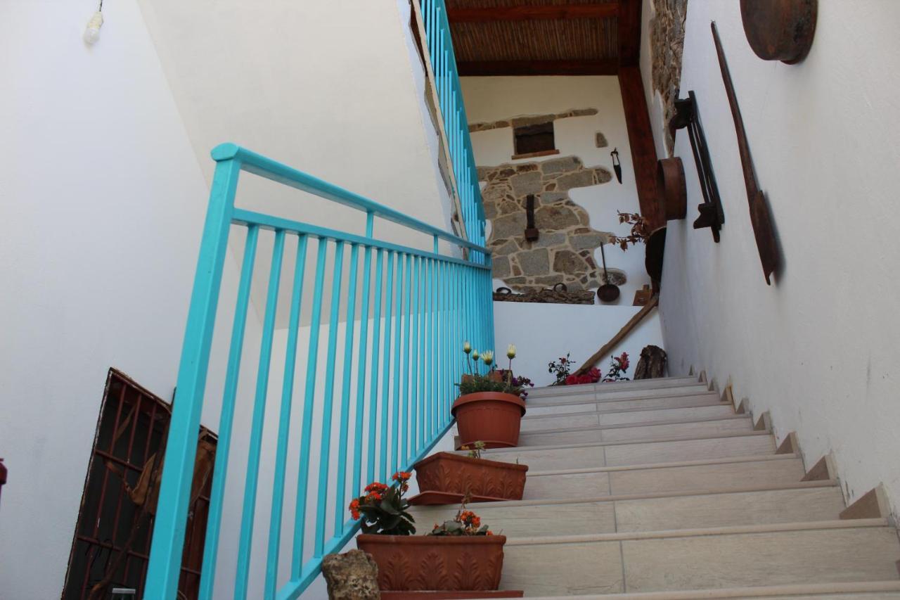 Bed And Breakfast Murales Orgosolo Exterior photo